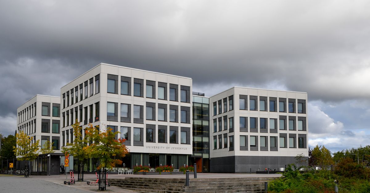 A member of university staff working at a desk on a bright campus