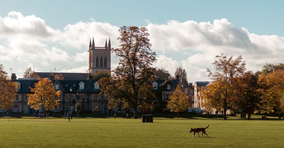 A historic university campus building in England on a bright day